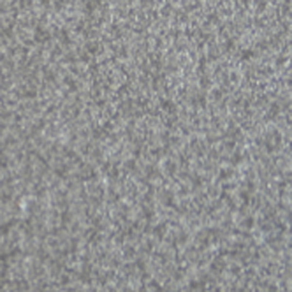 Aluminium Satyna Ral 9007